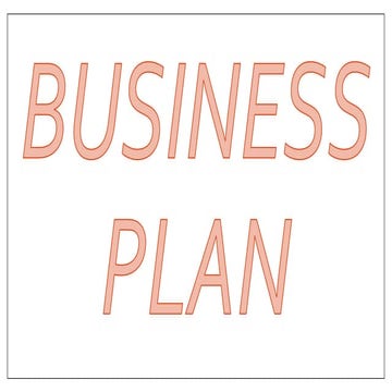 BUSINESS PLAN !