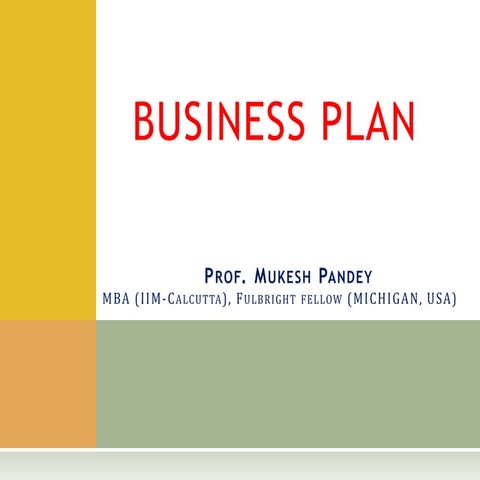 Business Plan.pptx