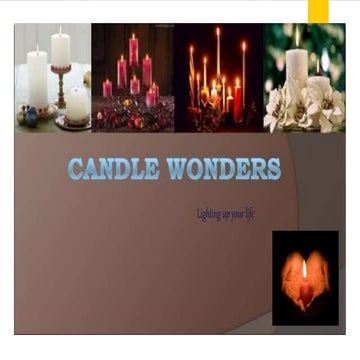 Business plan   candle wonders.ppt