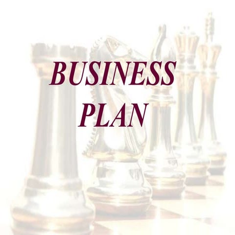 Business plan   final