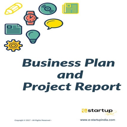 Business Plan and Project Report