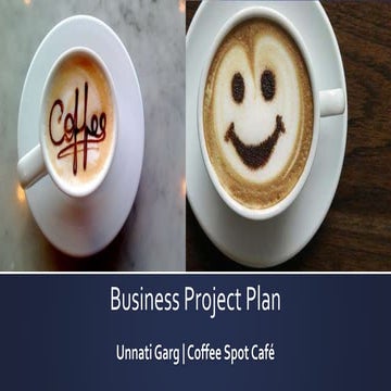 Business Project  Plan 