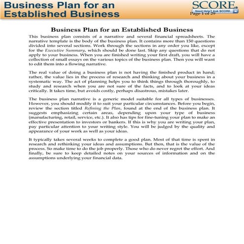 Business plan for established business