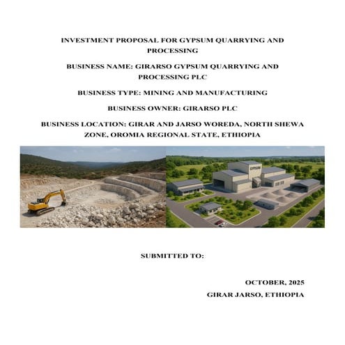 Business Plan for Gypsum Quarrying and Processing Plant in Girar and Jarso Wo...