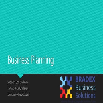 Business Plan & Cash Flow Writing