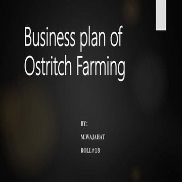 Business plan of ostritch farming by wajahat | PPT
