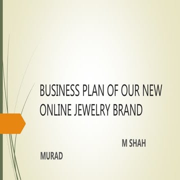 Business plan of our new  jewelry brand