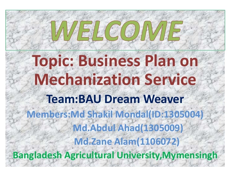 Custom made business plan