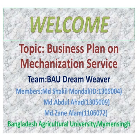 Business plan on mechanization service