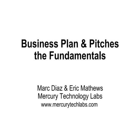 Business Plan Pitches
