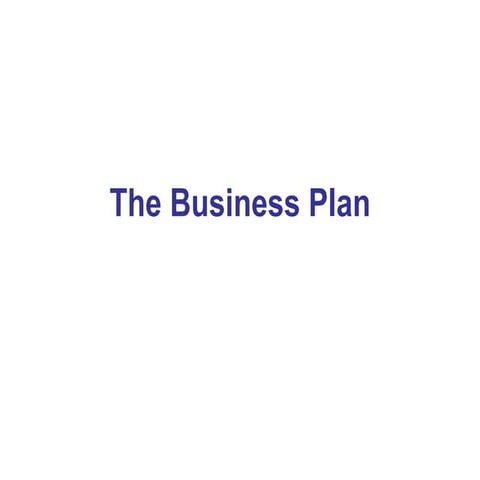 Business plan presentation
