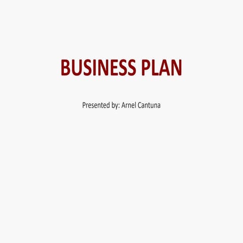 Business_Plan_Presentation_Arnel_Cantuna.pptx