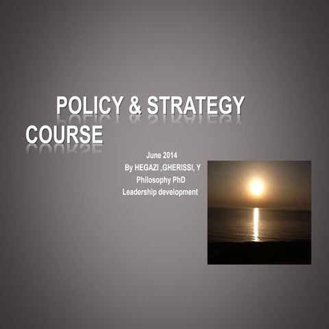 Business policy & strategy pp