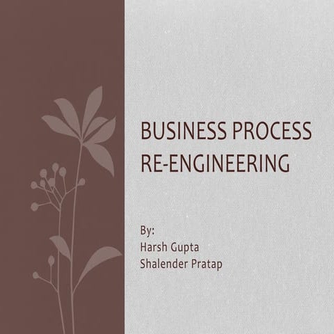 Business process re engineering | PPTX | Business Administration | Business