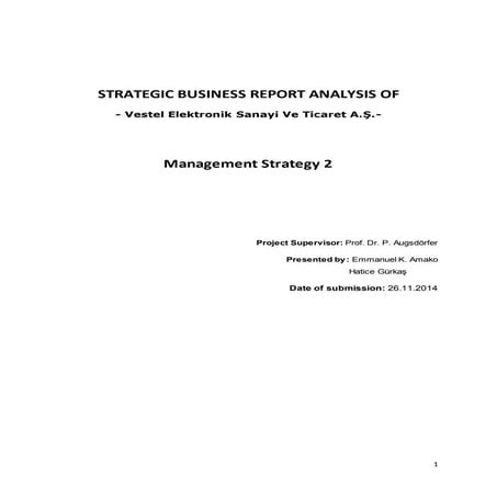 Strategic Business Analysis Report of Vestel Elektronik Sanayi Ve Ticaret A.Ş