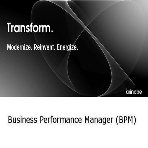 Business Performance Manager