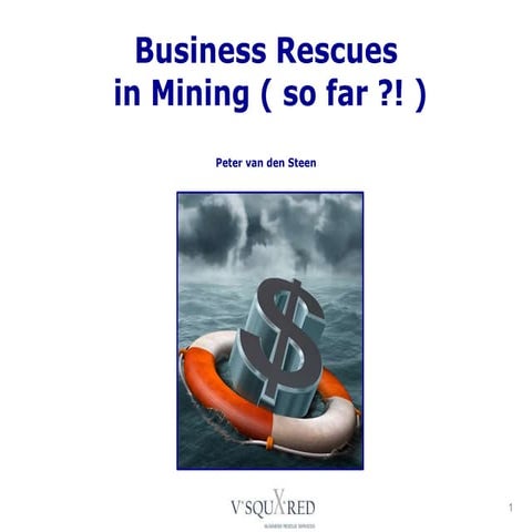 Business rescue in mining: Peter van den Steen (VSquared)