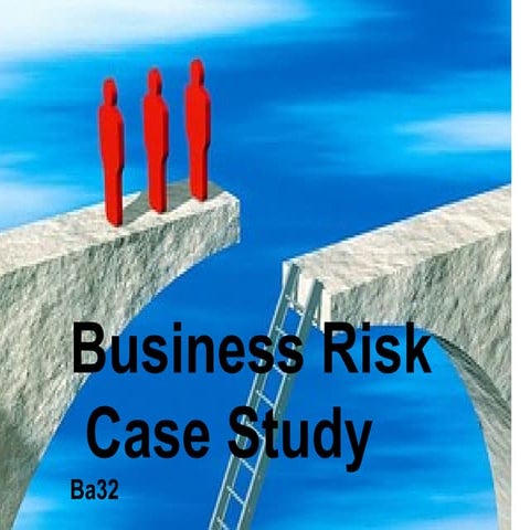 Business Risk Case Study  Ba 32
