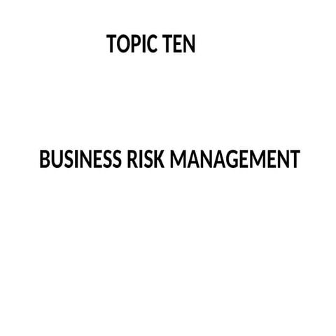 BUSINESS RISK MANAGEMENT IN BUSINESS ORGANISATIONS
