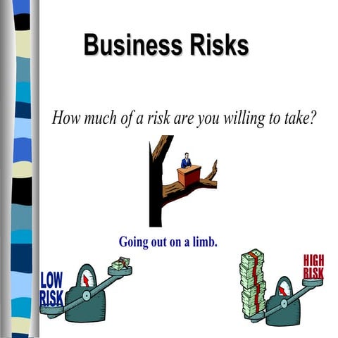 Business Risks