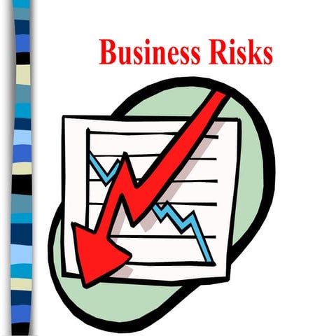 Businessrisks 