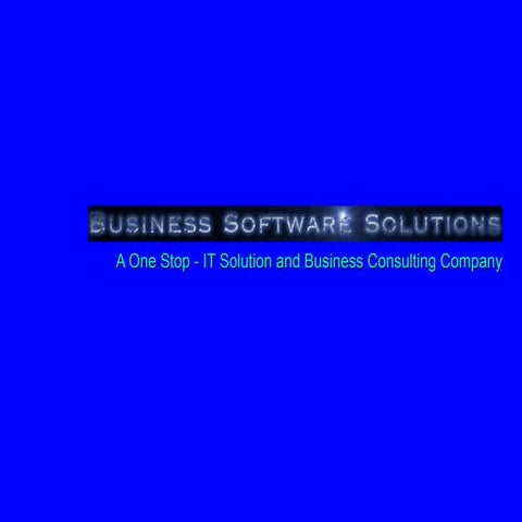 Business Software Solutions ( SAP Solutions )