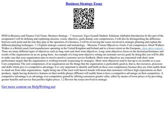 Business Strategy Essay