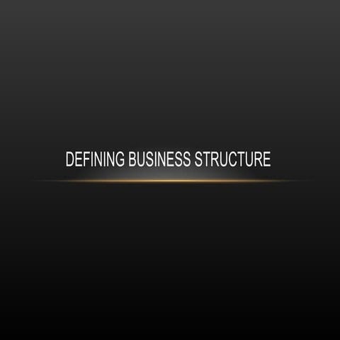Business structure
