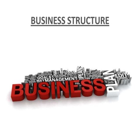 Business structure