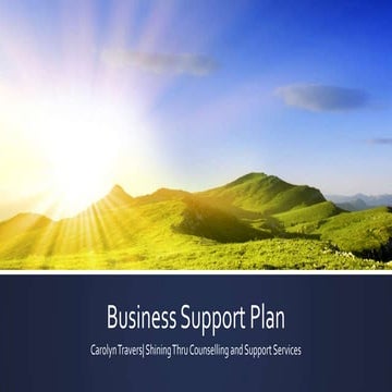 Business support plan