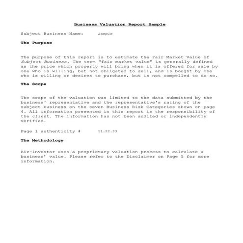 Business Valuation Report Template