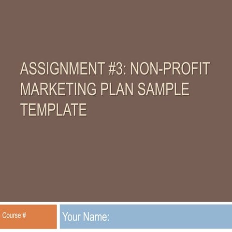 Buss 424 marketing plan non profit marketing plan template (2)