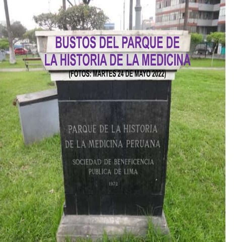 BUSTOS DEL PARQUE DE LA HISTORIA DE LA MEDICINA