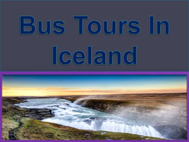 Bus tours in iceland