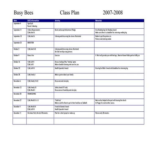 Busy bee year plan2007-2008