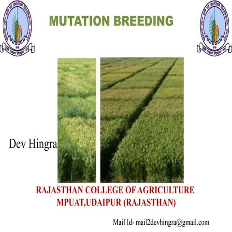 Mutation breeding