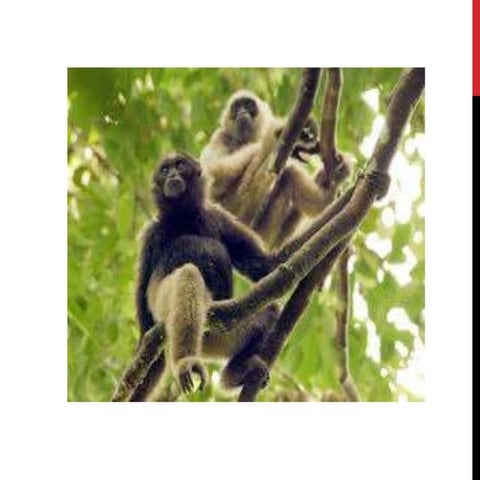 Butler, "Realizing the potential of data"