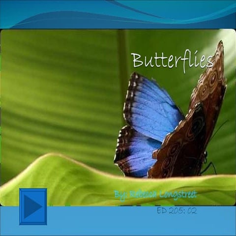 Butterflies Interactive Powerpoint