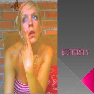 Butterfly2