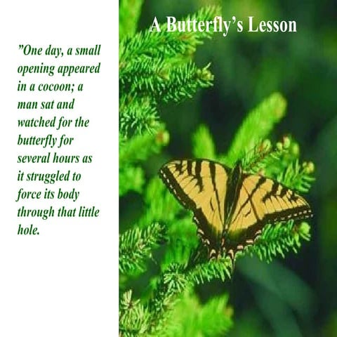 The Butterfly Effect | PPTX