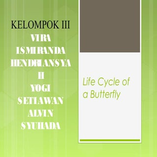 Butterfly vocab parts_and_cycle