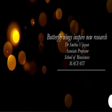 Butterfly wings inspire new research.pptx