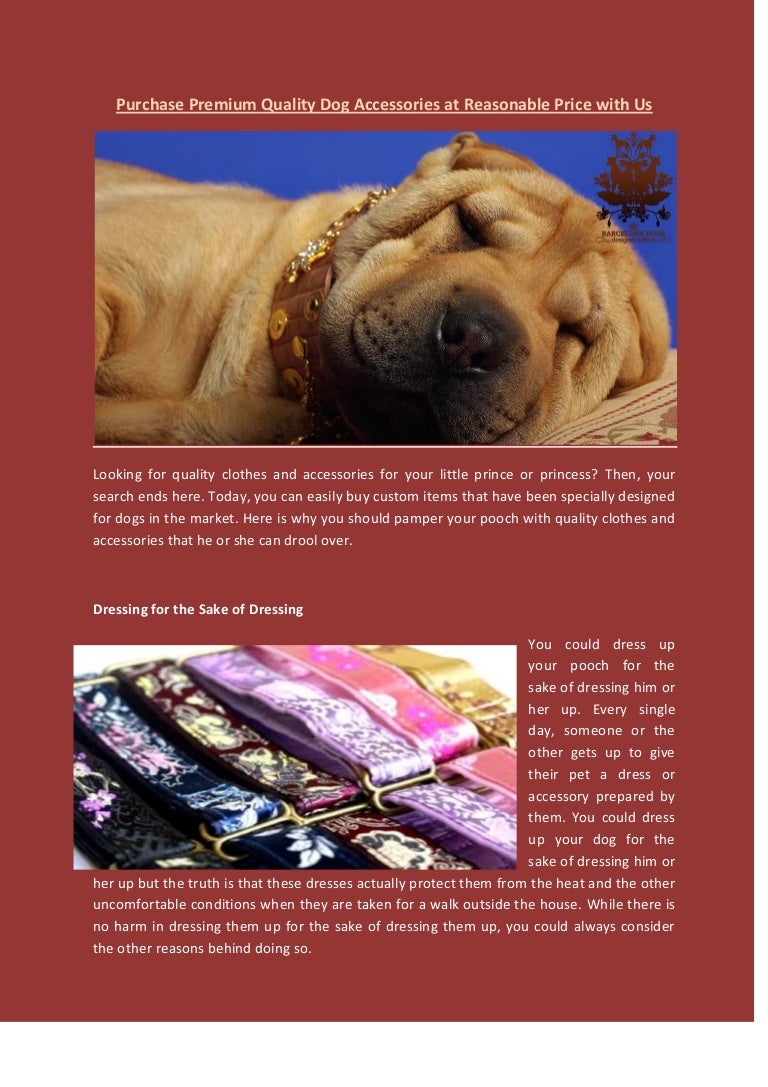 premium dog accessories