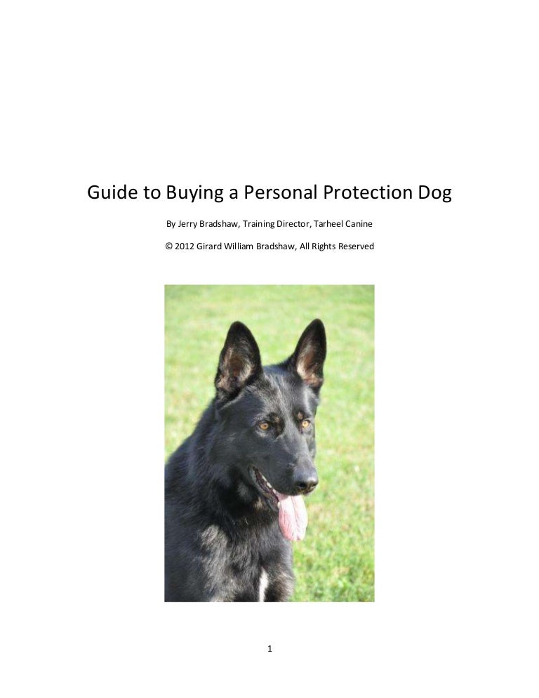 protection dog training