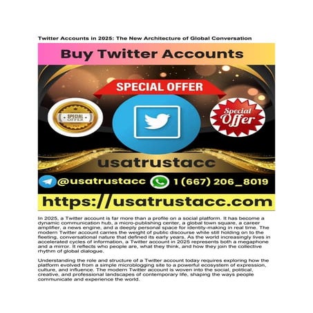 Buying a Twitter account might seem like a fast-track shortcut.docx