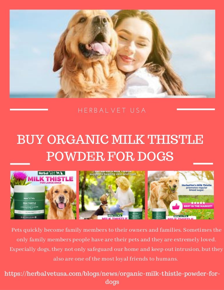 organic milk thistle for dogs