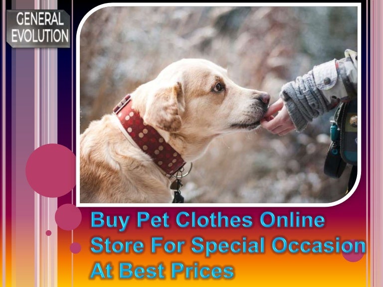 dog clothes online shopping
