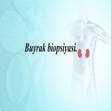 Buyrak biopsiyasi. Буйрак биопсияси нефрология | PPTX