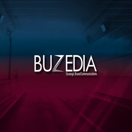 Buzedia Brochure8