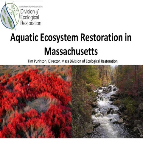 Aquatic Ecosystem Restoration in Massachusetts